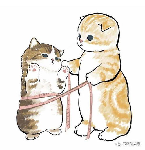 一组超可爱的小猫咪,萌翻了
