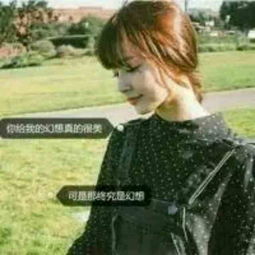 求这个情侣头像