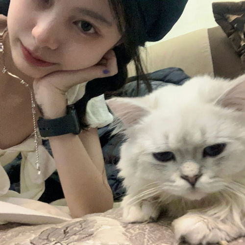 女孩子什么的最可爱啦精选女生头像,可爱且酷