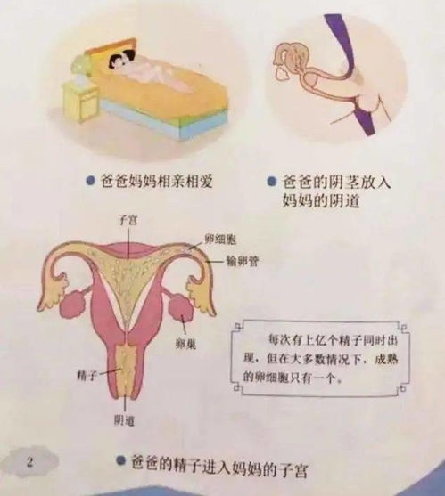 12岁女孩遭多人性侵,8个月内2次怀孕难以启齿的性教育,你该如何讲给孩子听