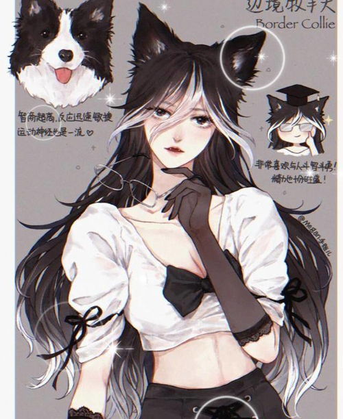 狗狗集体化身动漫美少女,柯基腿短可爱,哈士奇竟成高冷御姐