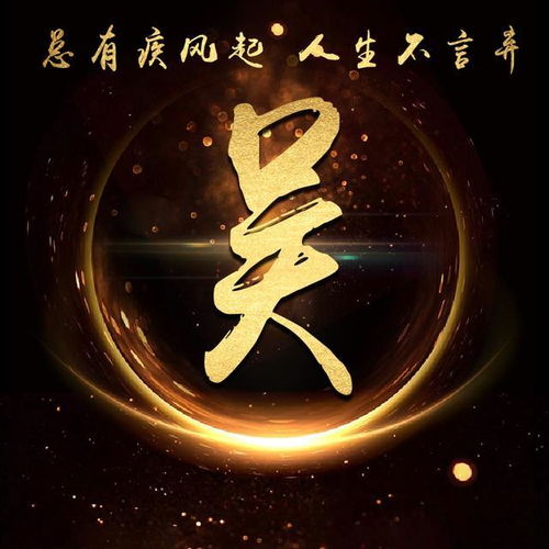 超炫金色霸气励志姓氏微信头像总有疾风起,人生不言弃