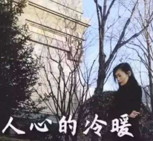 遭遇暴打逆生长,马蓉身材堪比吉娜,离婚后面容粉嫩白皙