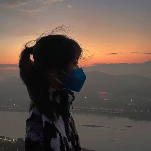 文案情头你是揉碎的日光,落入我梦境的一片温暖腾讯新闻