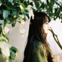 四叶草韩妍的美拍美拍让短视频更好看
