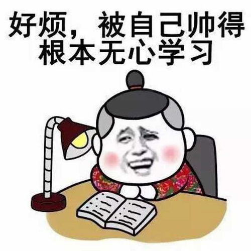 搞笑gif段子这是我见过的最强伪装者,真是太强了