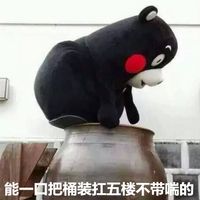 熊本熊系列微信聊天表情包9个女生单身的理由