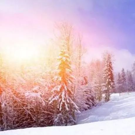 小雪心向阳光,定然美好