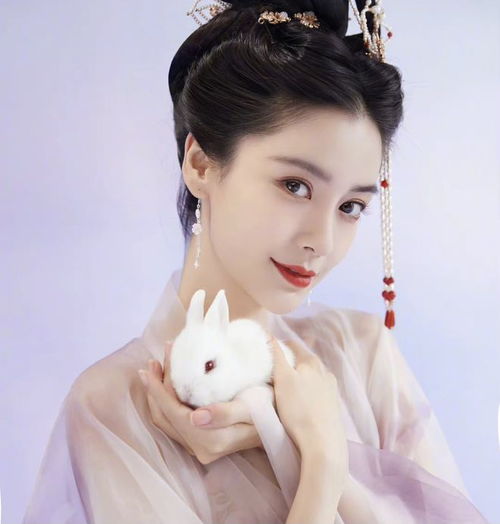 岳云鹏pc被抓ab给儿子找新爸棣欣引力互撕提纯鞠婧祎被投资人嫌弃李兰迪成唐人救命稻草