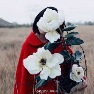 这是什么花附图如下