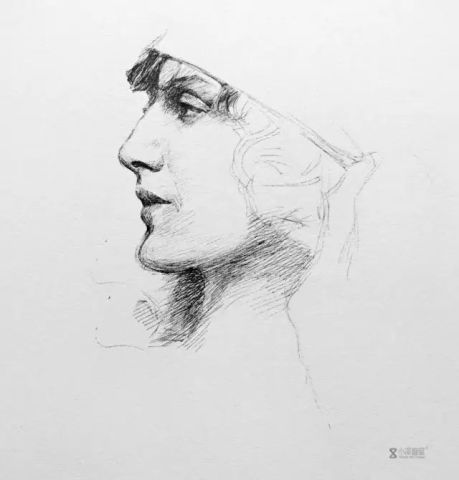 彩色素描女生头像唯美央美