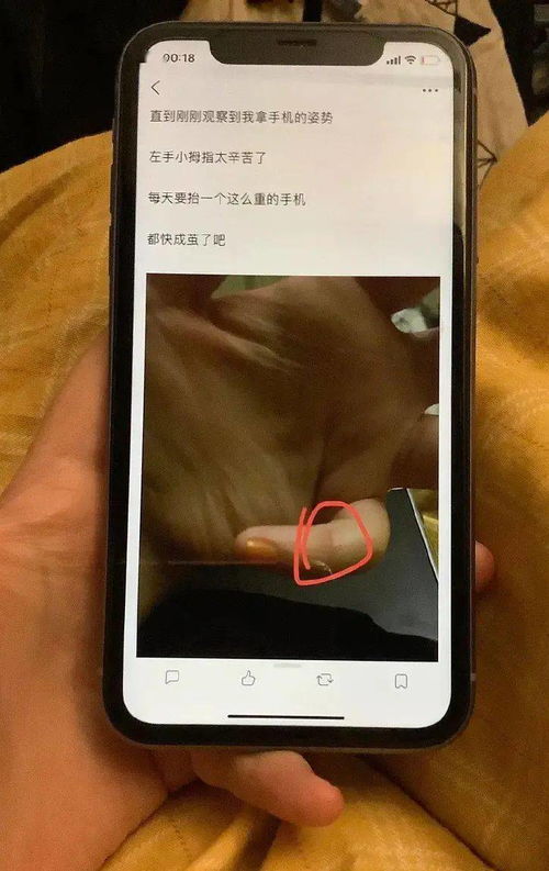 它们居然还有专用的奶罩
