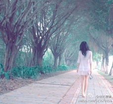 梁春阳