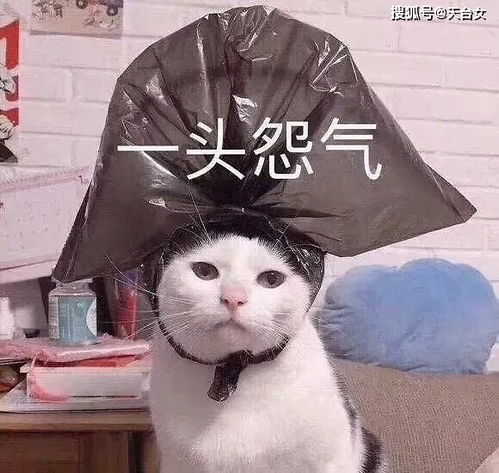 辛苦减肥,脸还是那么大大饼脸如何变成锥子脸