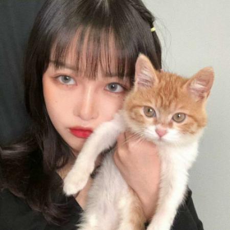 qq头像女生萌新女生头像大全