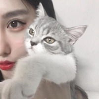 小众头像猫咪女头