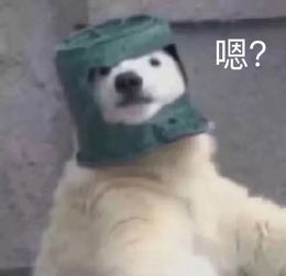 你永远也想不到,一个平安活着的女孩有多努力......