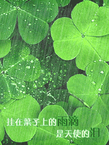 动态四叶草头像大全动态头像qq头像大全qq志乐园
