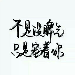 伴奏1收藏会员列表