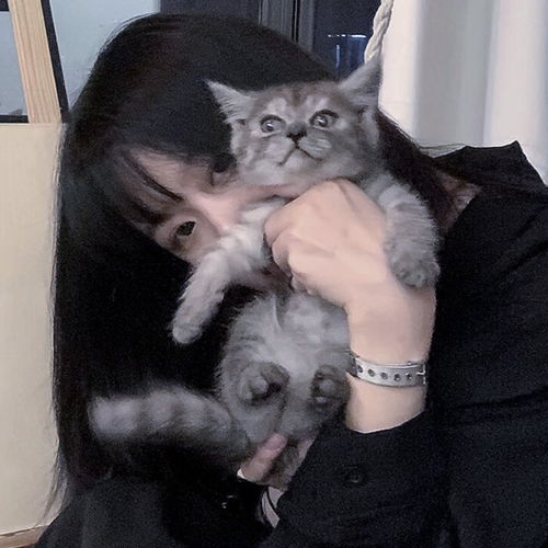 头像丨春风绕转捎上暖意