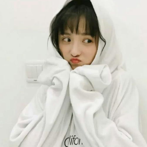 傲慢与不屑