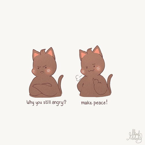 我的收藏
