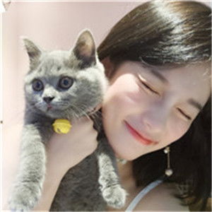 可爱打盹猫头像女生萌小女孩