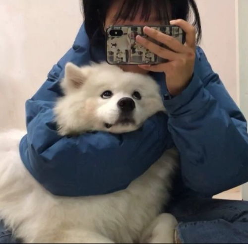 仙气飘飘的女生头像真人背影狗狗