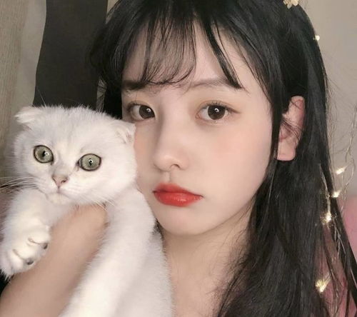 美颜sdk带来哪些影响