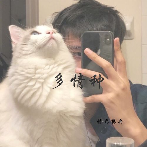 抖音潮音精彩樊兵高音质在线试听抖音潮音歌词歌曲下载酷狗音乐