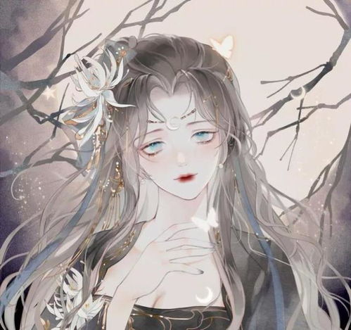 二次元美少女美丽无极限