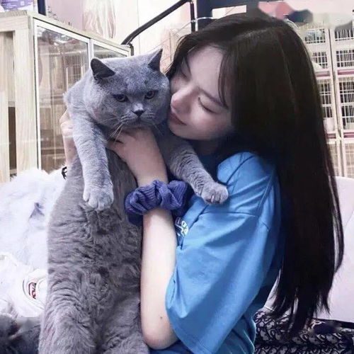 头像图片丨女生头像丨可爱的猫系女头1214