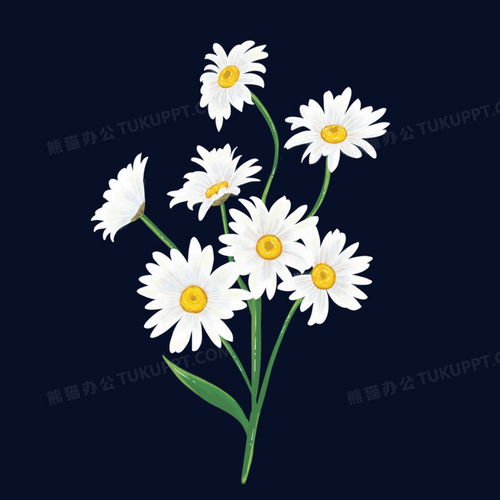 手绘小雏菊花朵免抠元素png图片素材免费下载元素png26002600像素