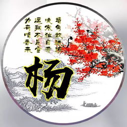 微信头像姓氏头像,超好看的梅花图个性设计,做头像太好看了