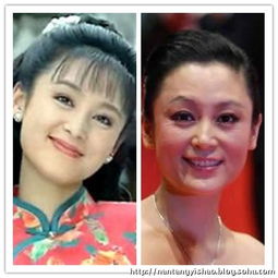 40位最美琼瑶女郎今昔容貌震撼对比