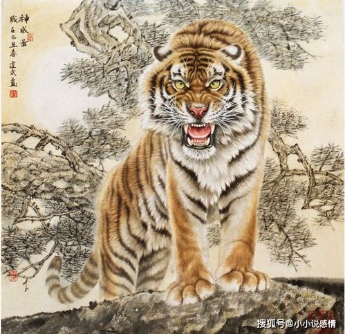 1986年属虎女微信头像十二生肖