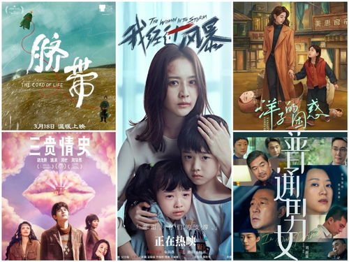 新力量与新挑战2023年中国女性导演电影创作观察