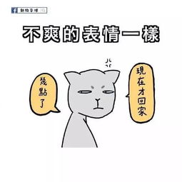 一组漫画告诉你猫和女生的九个共同点