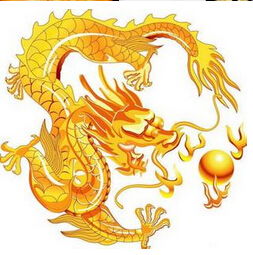 属龙的人2015年运程,属龙人2015年运势