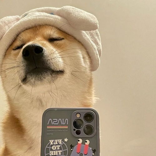 takeaselfie头像