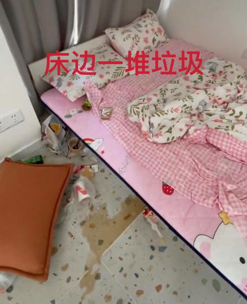 辽宁多名男女00后同住一套民宿,房间混乱如同拆家一般