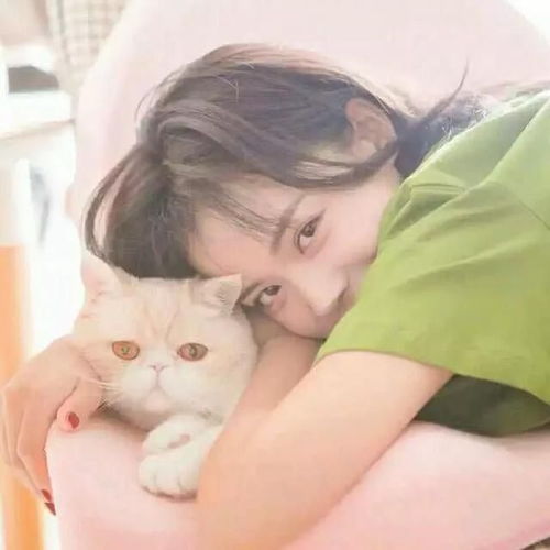 有没有女生抱猫的头像呀一定要无水印的那种噢