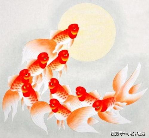 几月出生的人,去年多努力,今年少发愁,事业从11月开始扶摇直上