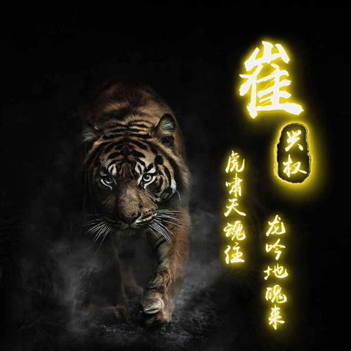 你该换微信头像了,31张精品刺绣微信头像,送给有品位的你
