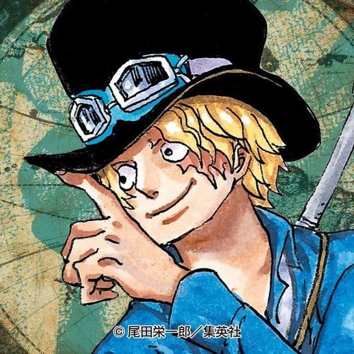 海贼王头像官推头像