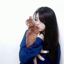 女生头像女孩猫小清新欧美