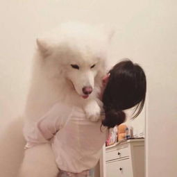 红尘情歌