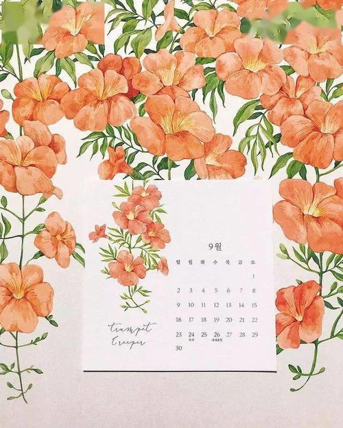 插画师yirangkim笔下的小清新植物手绘,让你的心情得到治愈