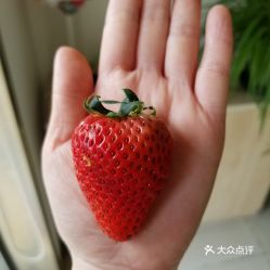 电话,地址,价格,营业时间