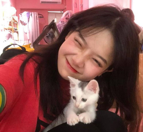 温柔风女头公主和她的猫